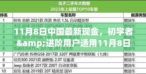初学者与进阶用户指南,11月8日中国最新现金操作指南及任务完成步骤详解