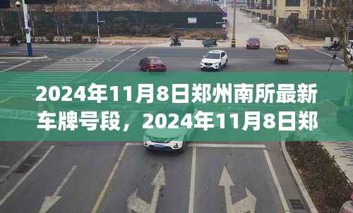 2024年郑州南所最新车牌号段解读与案例分析