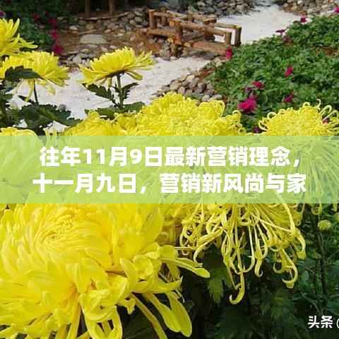 往年11月9日营销新风尚,融合家的温暖与创新的营销理念
