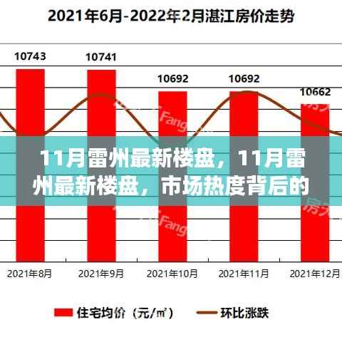 市场热度背后的深度解读与个人立场,11月雷州最新楼盘观察