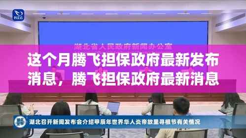 腾飞担保政府最新消息解读与操作指南,初学者与进阶用户必读指南