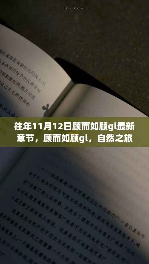 自然之旅的心灵觉醒与奇妙探险,顾而如顾gl最新章节