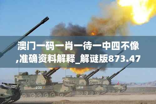 澳门一码一肖一待一中四不像,准确资料解释_解谜版873.47