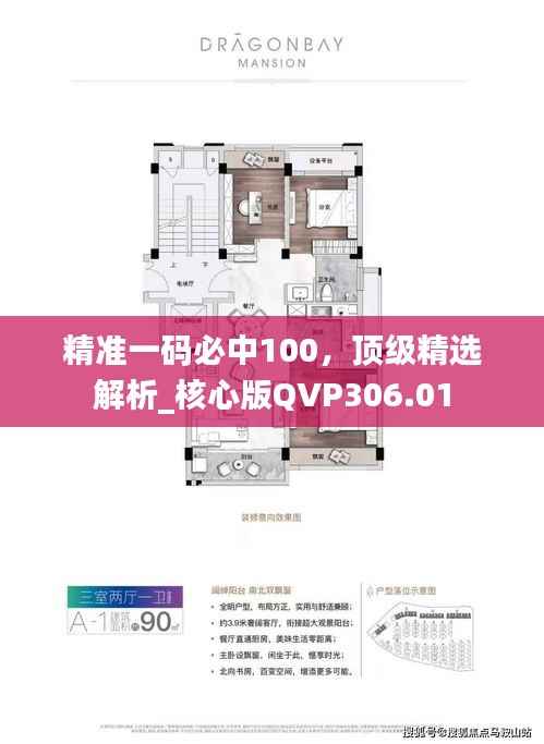 精准一码必中100,顶级精选解析_核心版QVP306.01