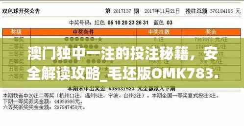 澳门独中一注的投注秘籍,安全解读攻略_毛坯版OMK783.49