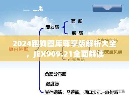 2024跑狗图库尊享版解析大全,JEX909.21全面解读