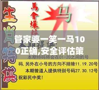 管家婆一笑一马100正确,安全评估策略_小天位FAM73.09