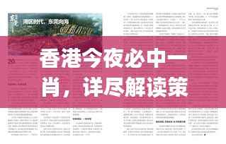 香港今夜必中一肖,详尽解读策略_修订版UWL57.98