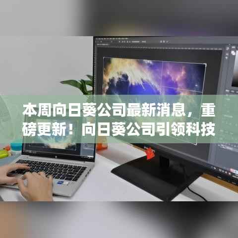 向日葵公司引领科技革新,全新智能向日葵系列开启未来生活体验重磅更新消息