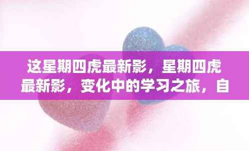 星期四虎最新影,变化中的学习之旅,自信与成就感的源泉