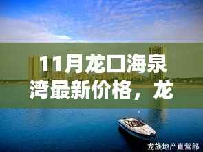 11月龙口海泉湾最新价格动态,查询指南与最新动态掌握