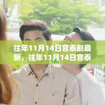往年11月14日宫泰剧最新情报,观看与学习指南全解析