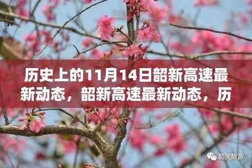 历史上的11月14日,韶新高速最新动态深度评测与介绍
