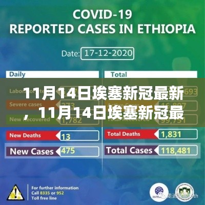 深度分析,埃塞俄比亚新冠疫情最新动态及观点阐述