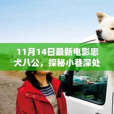 探秘电影天堂,忠犬八公特色小店的魅力之旅