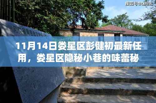 娄星区新任彭健初揭秘,小巷美食背后的故事与任命轨迹