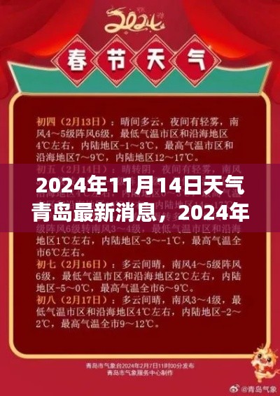 2024年11月14日青岛天气预报及气象分析,最新消息与预测