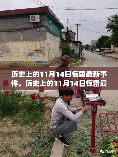 历史上的11月14日惊雷事件,全面评测与深度介绍