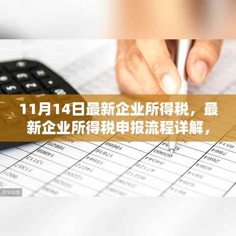 初学者必备,最新企业所得税申报流程详解与全方位指南(11月最新版)