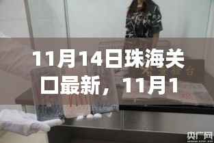 揭秘,珠海海关最新动态与政策进出口物流新变化(11月14日更新)