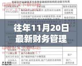 往年11月最新财务管理制度范本及小巷特色小店探秘,揭示独特魅力与制度范本大全