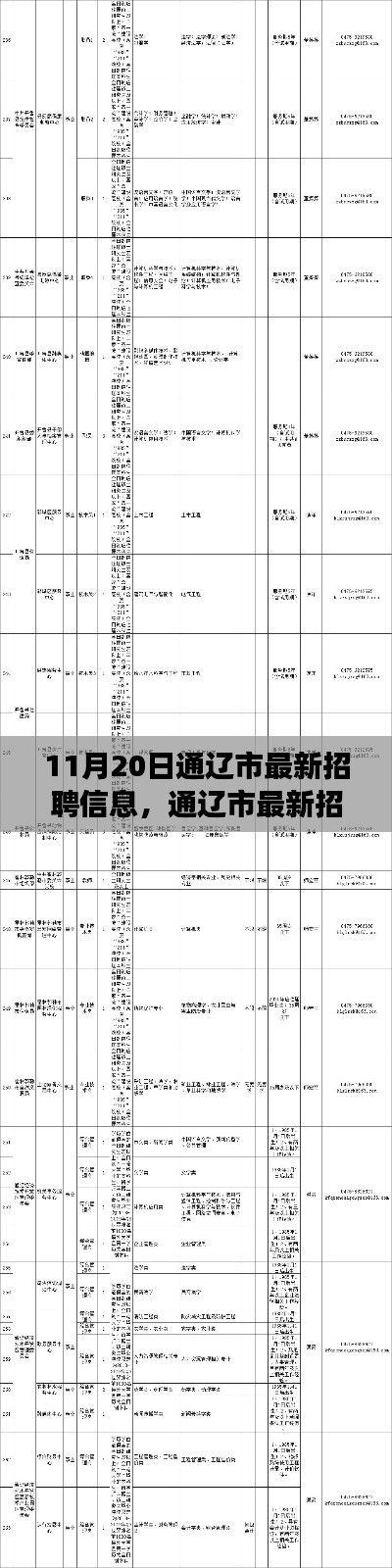 通辽市最新招聘信息概览,职场人的福音(11月20日更新)