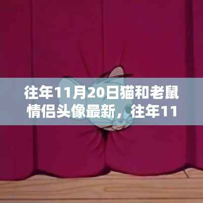 往年11月20日猫和老鼠情侣头像最新深度测评与介绍