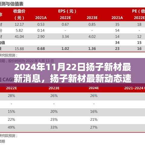 2024年11月22日扬子新材最新消息,扬子新材最新动态速递,2024年11月22日的三大看点