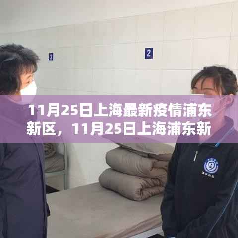 上海浦东新区最新疫情动态解析及实时更新(11月25日)