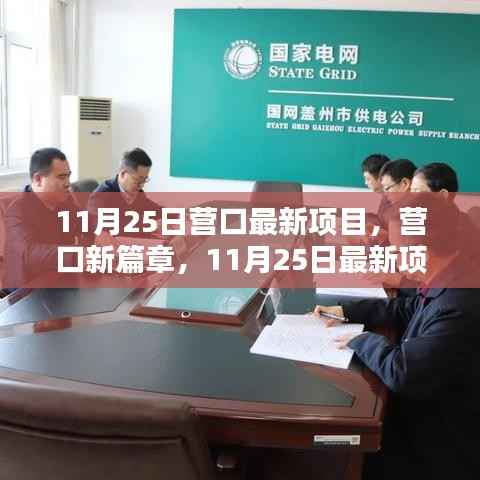 营口新篇章,11月25日最新项目探秘与揭秘