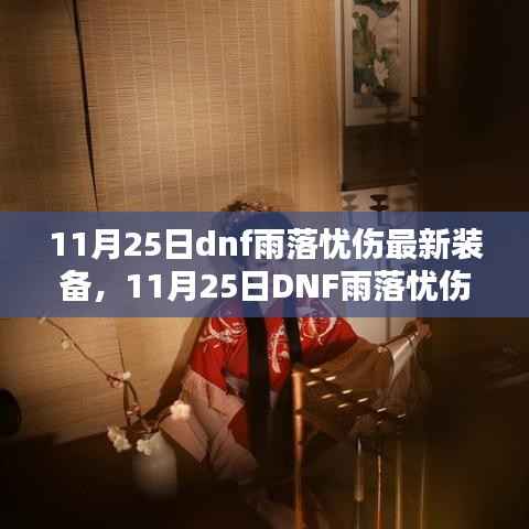11月25日DNF雨落忧伤装备指南,引领潮流,装备领先