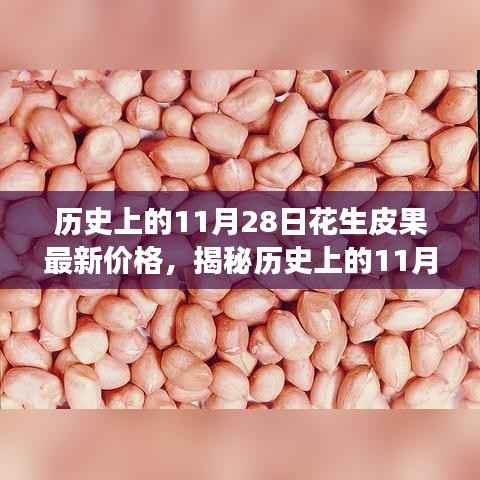 全方位解析,历史上的11月28日花生皮果最新价格获取与解读步骤指南
