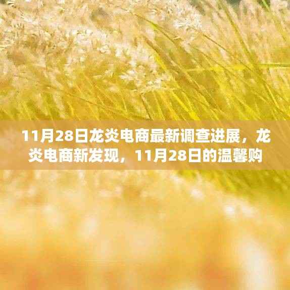 龙炎电商最新调查进展揭秘,温馨购物日常故事与最新发现