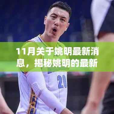 揭秘姚明最新动态,11月重磅消息全解析