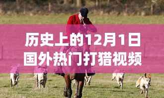 admin 第13页