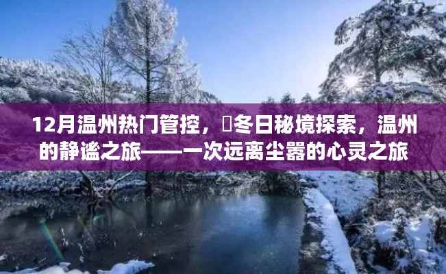 温州冬季秘境探索，静谧之旅的心灵之旅，12月热门管控下的冬日秘境体验