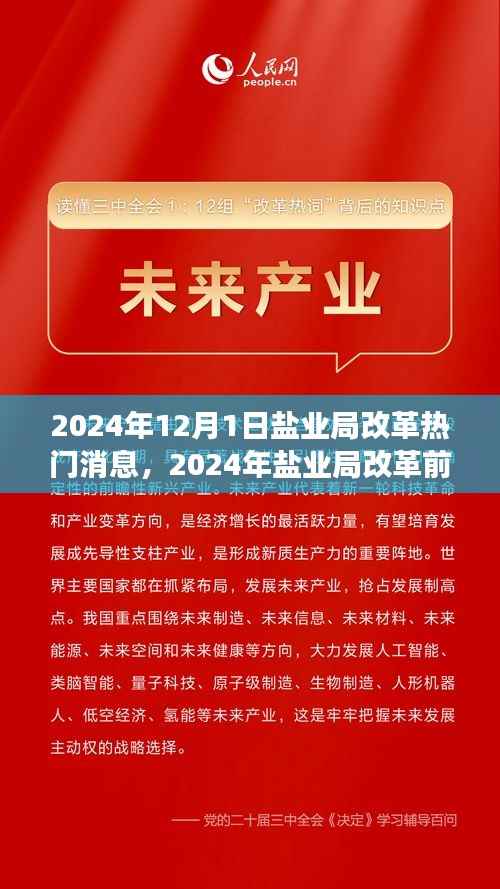 盐业局改革前沿动态,创新策略与未来展望(2024年盐业局改革热门消息)