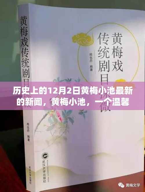 黄梅小池,温馨日常与爱的纽带——历史上的今天新闻回顾,12月2日的爱与陪伴故事