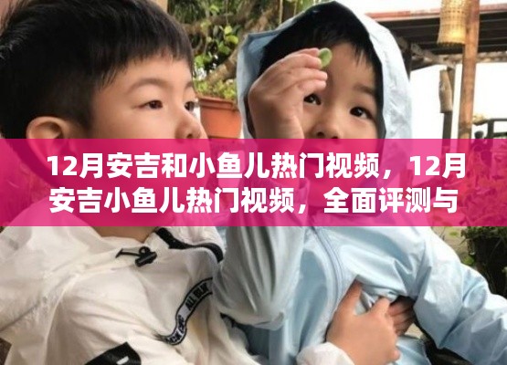 全面评测与深度介绍,12月安吉小鱼儿热门视频汇总