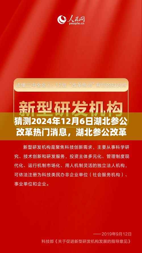湖北参公改革展望,深度解析热门消息,预测未来趋势至2024年12月6日