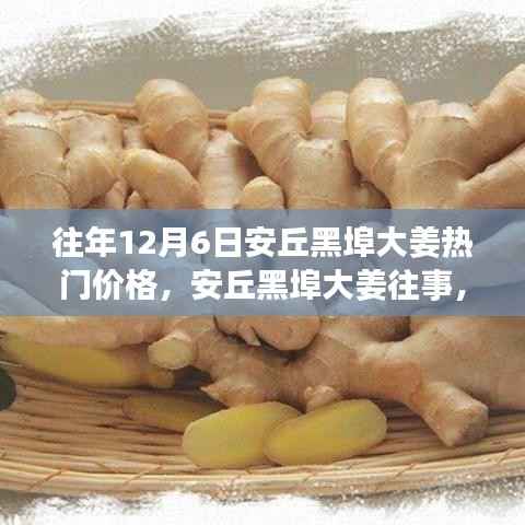 安丘黑埠大姜,历年12月6日热门价格回顾与姜香中的温情陪伴