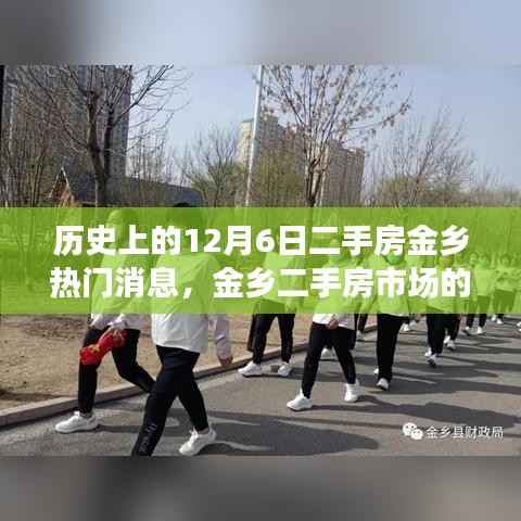 特别的日子,金乡二手房市场温馨故事回顾——12月6日热门消息揭秘