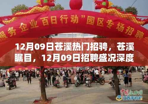 12月09日苍溪热门招聘盛况深度解析,瞩目的人才市场概览