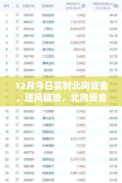 北向资金启示下的成长奇迹,12月实时洞察,自信成就梦想之旅