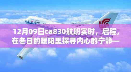 冬阳下的奇妙之旅,CA830航班探寻内心宁静的启程