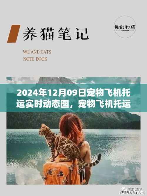 宠物飞机托运全程指南,实时动态图解(XXXX年)