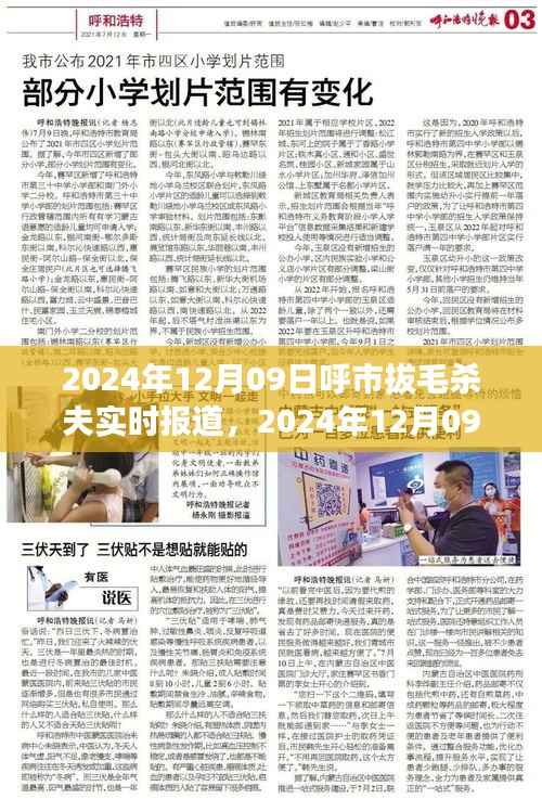 呼市拔毛杀夫事件,悲剧背后的深度解析(实时报道)