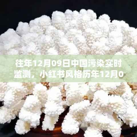 历年12月09日中国污染实时监测,小红书风格下的蓝天绿水守护共同责任