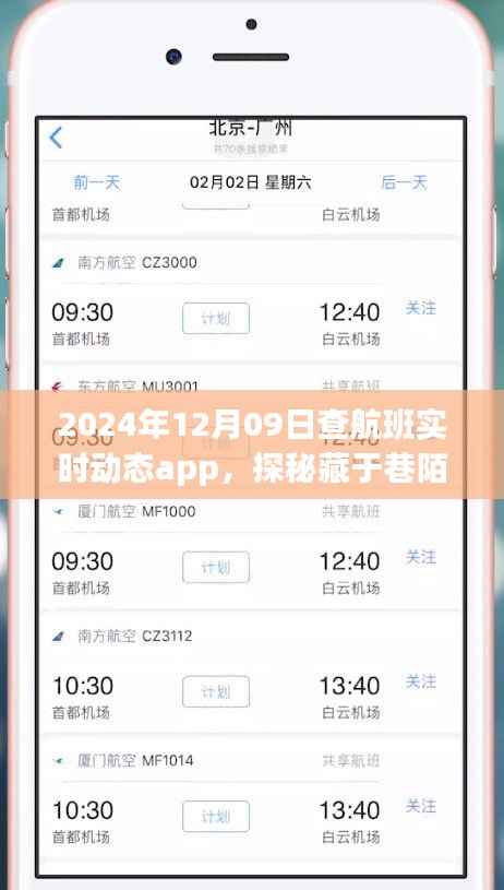探秘航班实时动态小天地,2024年12月9日的奇妙航班查询之旅