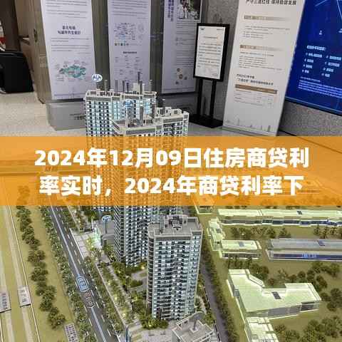 shibigongqing 第4页
